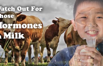 Hormones in Milk