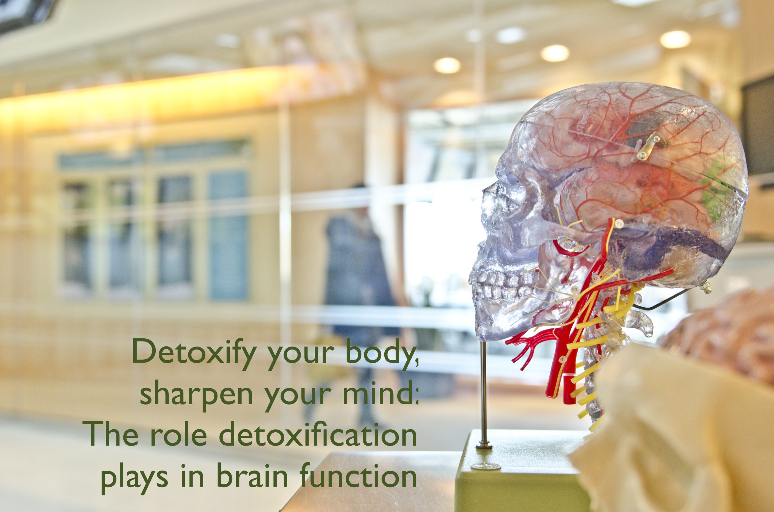 Detoxify your Body, Sharpen your Mind: The Role Detoxification Plays in Brain Function