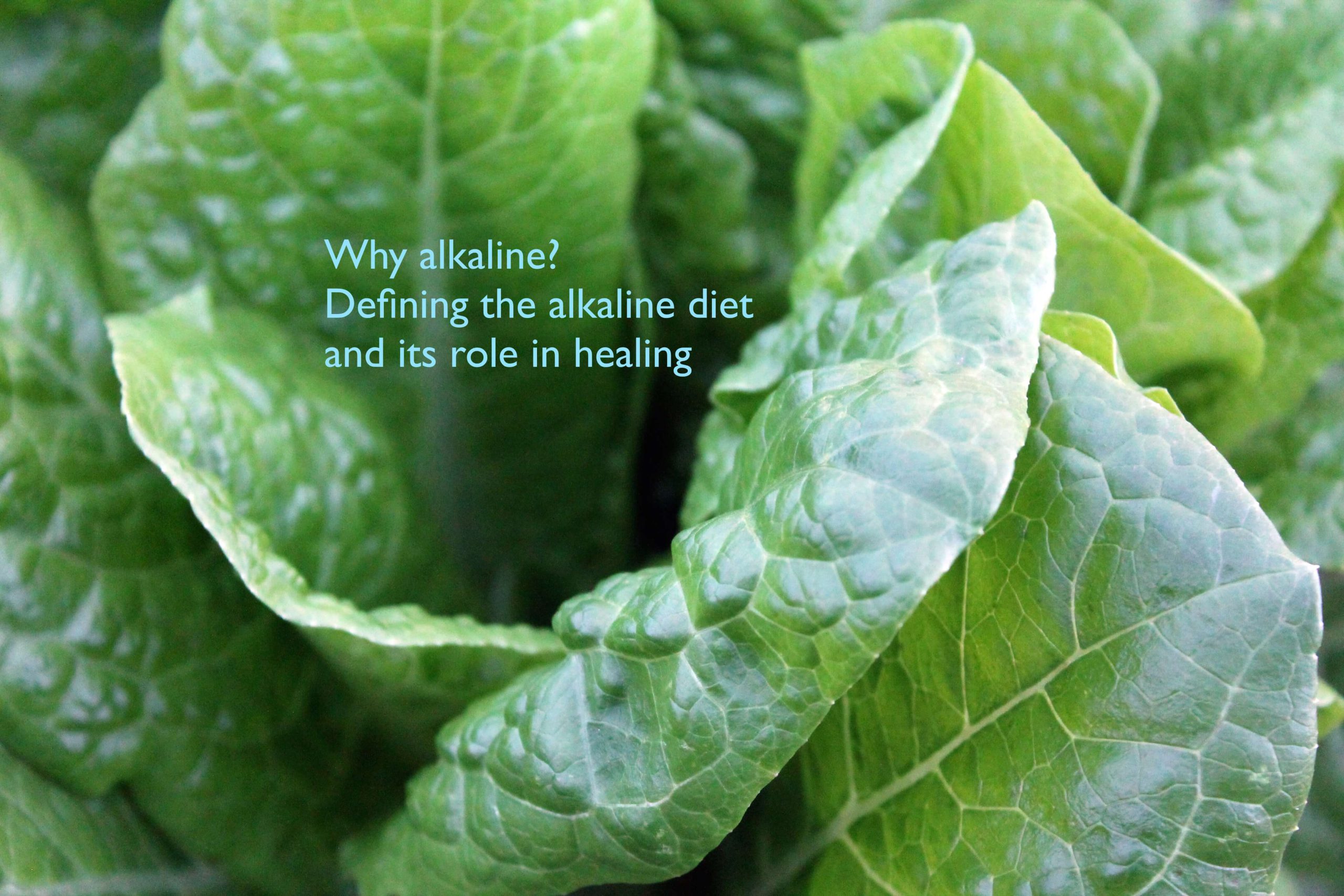 Why Alkaline? The Alkaline diet and its role in healing