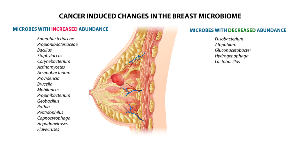 Mudanças no diagrama oncobioma