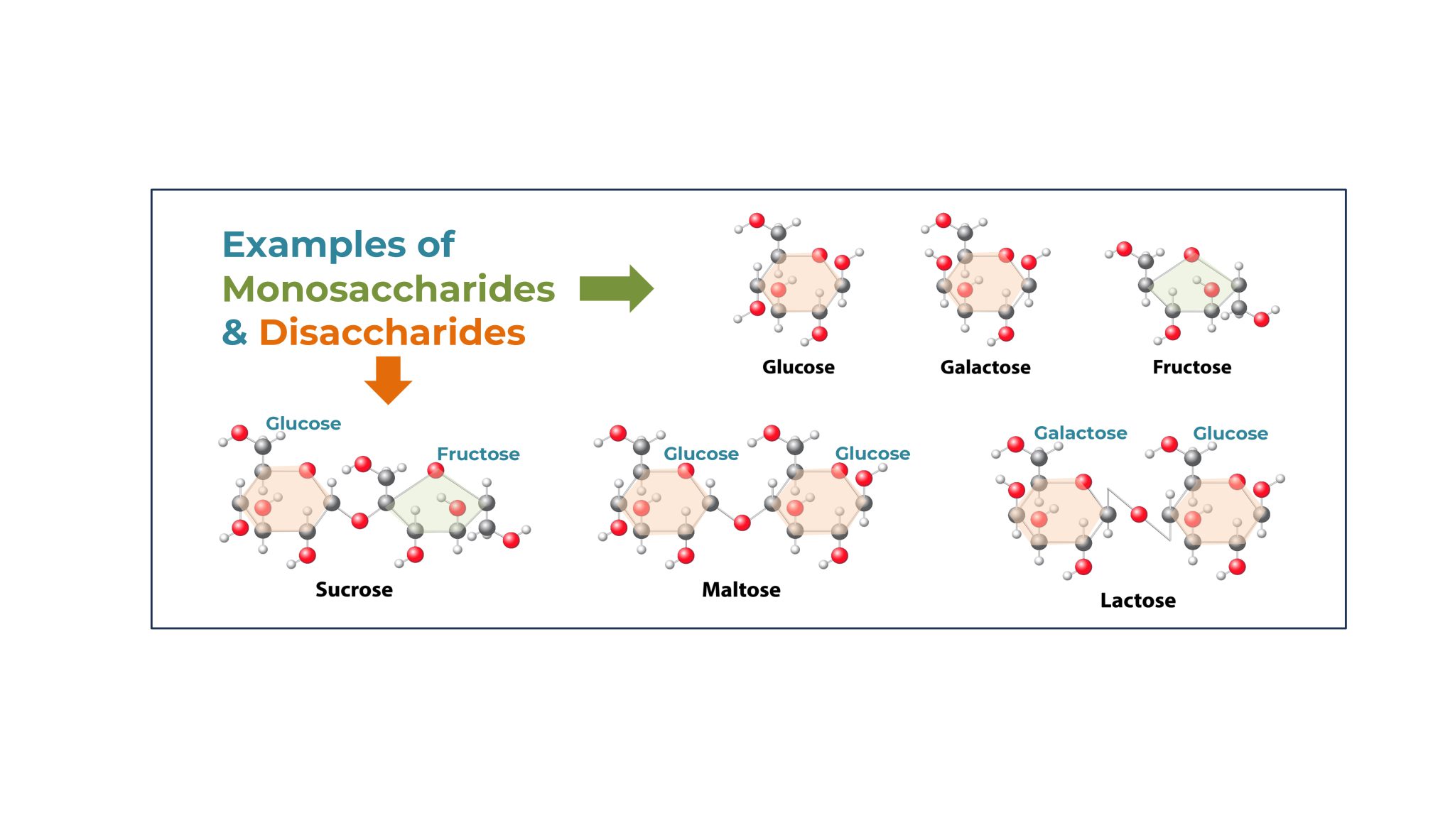 The Sweet Truth: Unraveling the Sugar and Cancer Debate - Hope4Cancer
