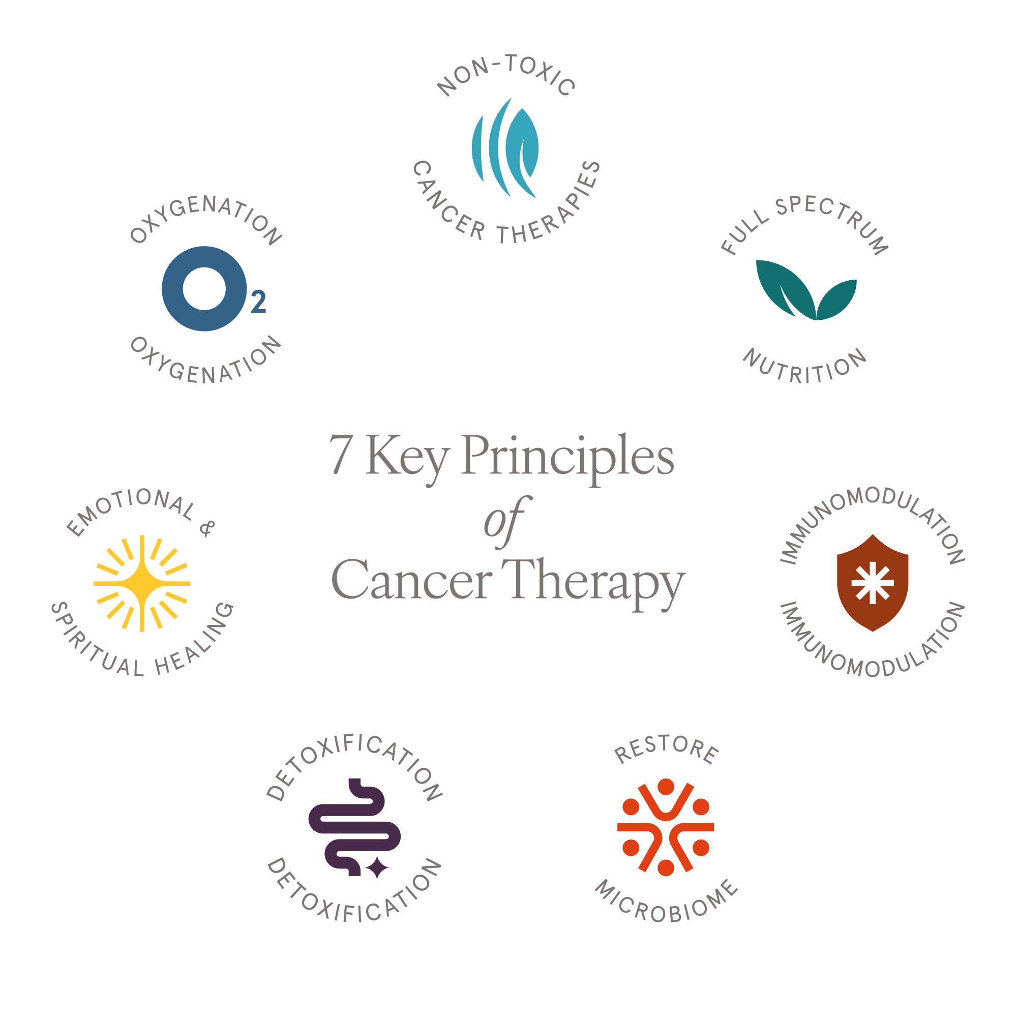 7 Key Principles of Cancer Therapy: Non-Toxic Cancer Therapies, Immunomodulation, Full Spectrum Nutrition, Detoxification, Oxygenation, Restore the Microbiome, Emotional & Spiritual Healing