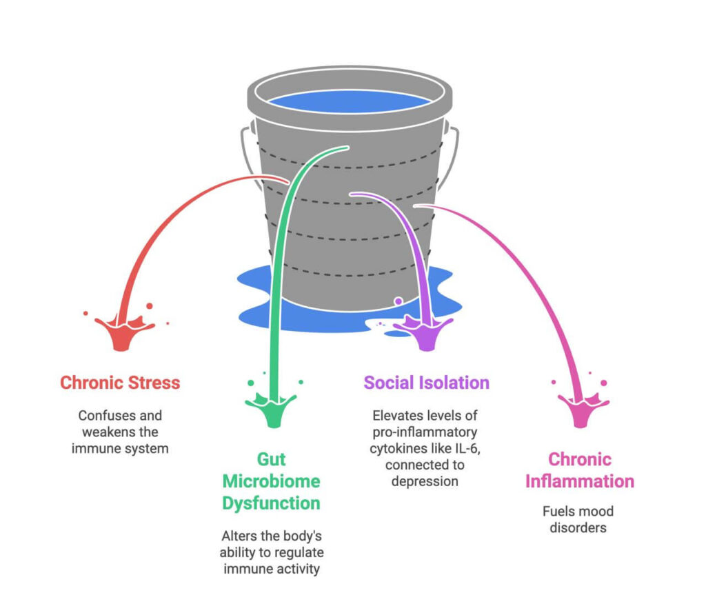 Chronic Stress, Gut Microbiome Dysfunction, Social Isolation, Chronic Inflammation